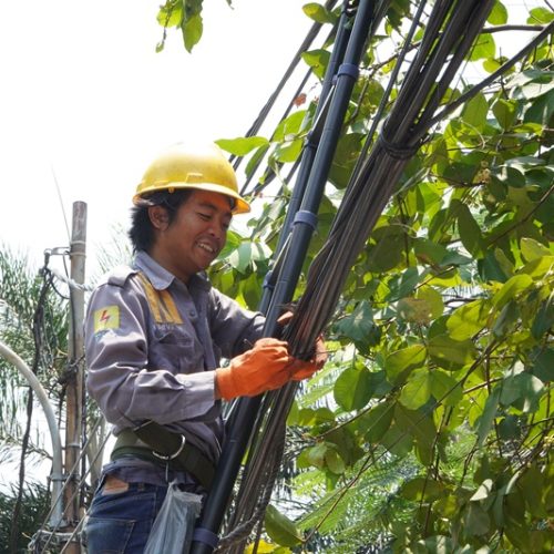 PLN ICON Plus Regional Jakarta dan Banten Rutin Lakukan Perapihan Kabel Optik
