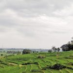 Jogja Tak Lagi Romantis untuk Petani