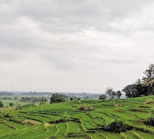 Jogja Tak Lagi Romantis untuk Petani