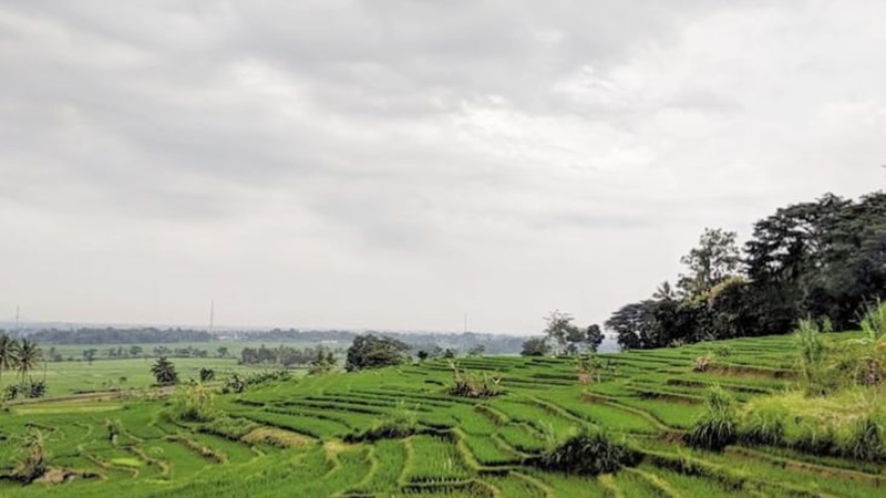 Jogja Tak Lagi Romantis untuk Petani